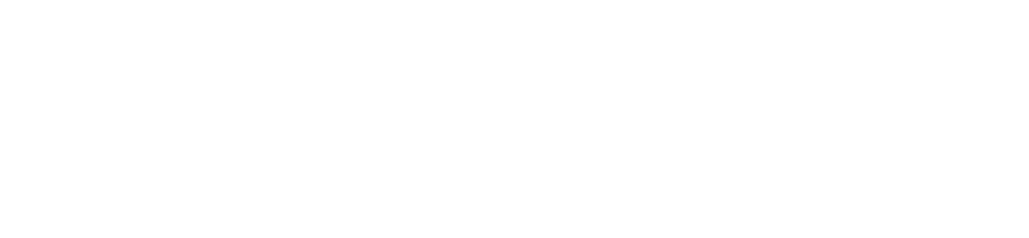 Sponsor